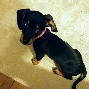 Meet your Posher, Marissa